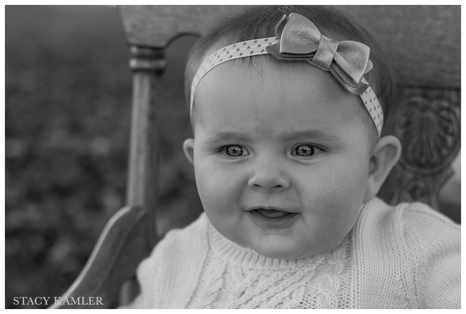 6 month old portraits