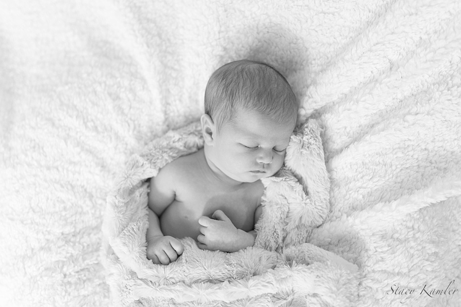 Newborn portrait photographer