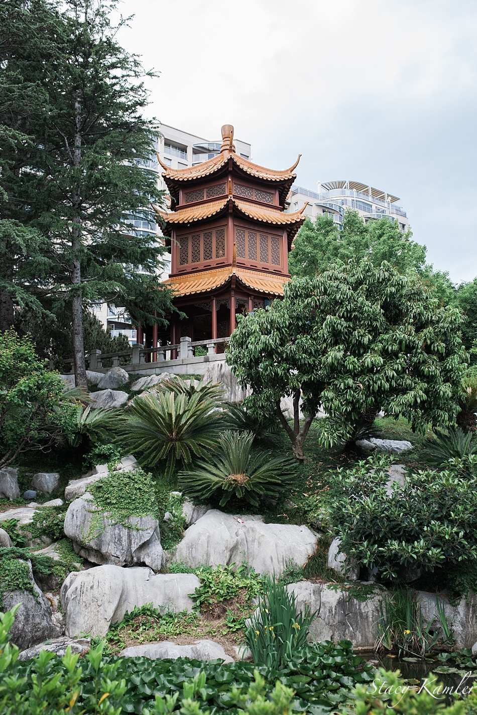 Chinese Garden of Friendship, Darling Harbour,Sydney Australia
