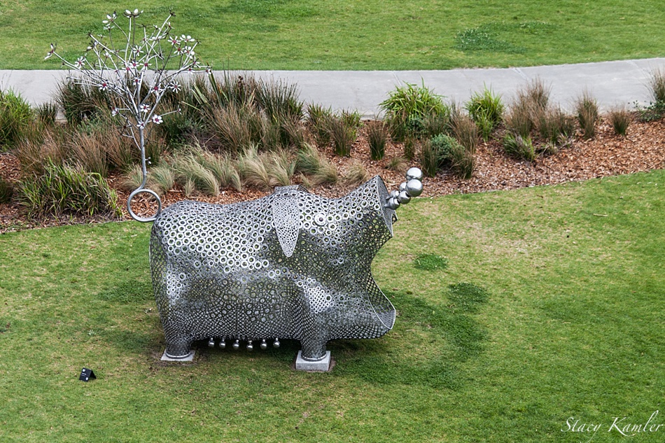 "Pig of Fortune#2" by Tae-Geun Yang, Sculpture by the Sea, Bondi Beach, Australia