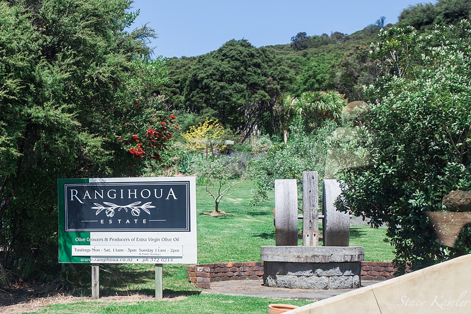 Rangihoua Estate, Waiheke Island, New Zealand