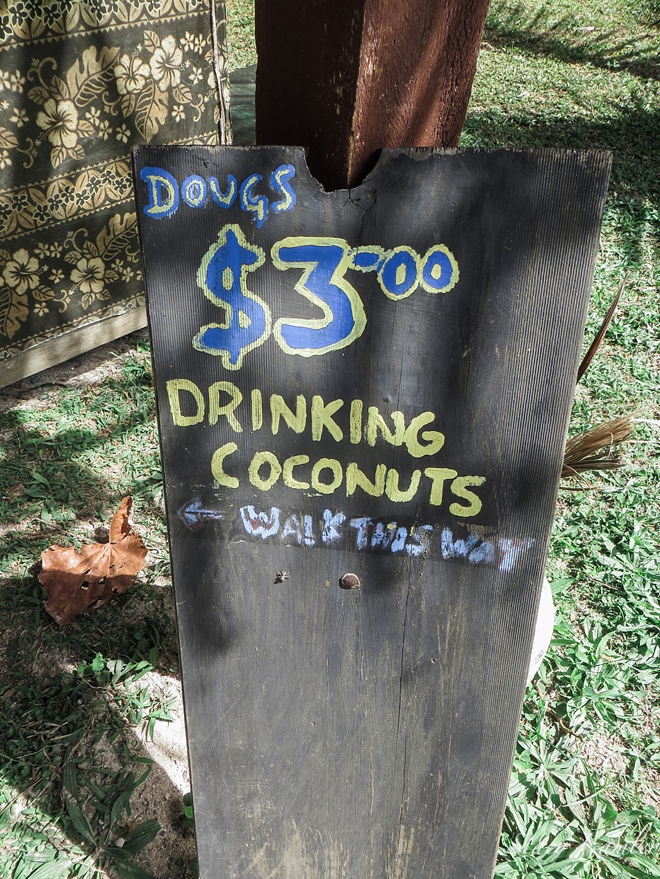 Drinking Coconuts at Rarotonga