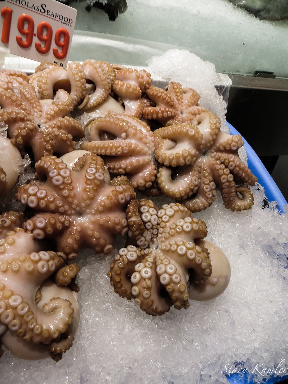 Octopus at Sydney Fish Market
