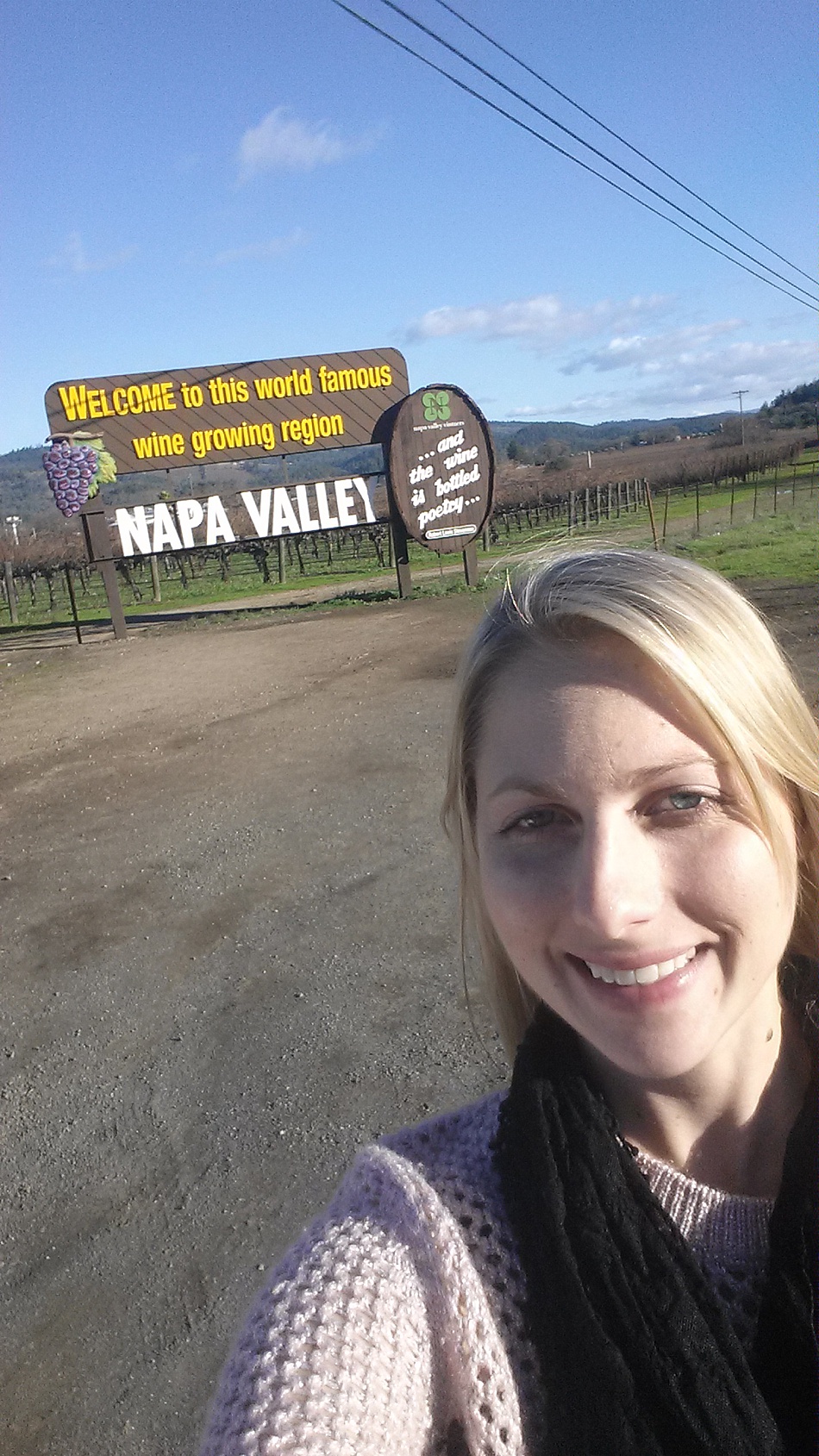 Napa Valley Wine Tours