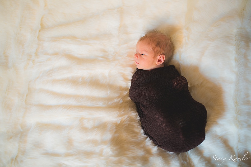 Newborn baby boy in a brown stretch wrap