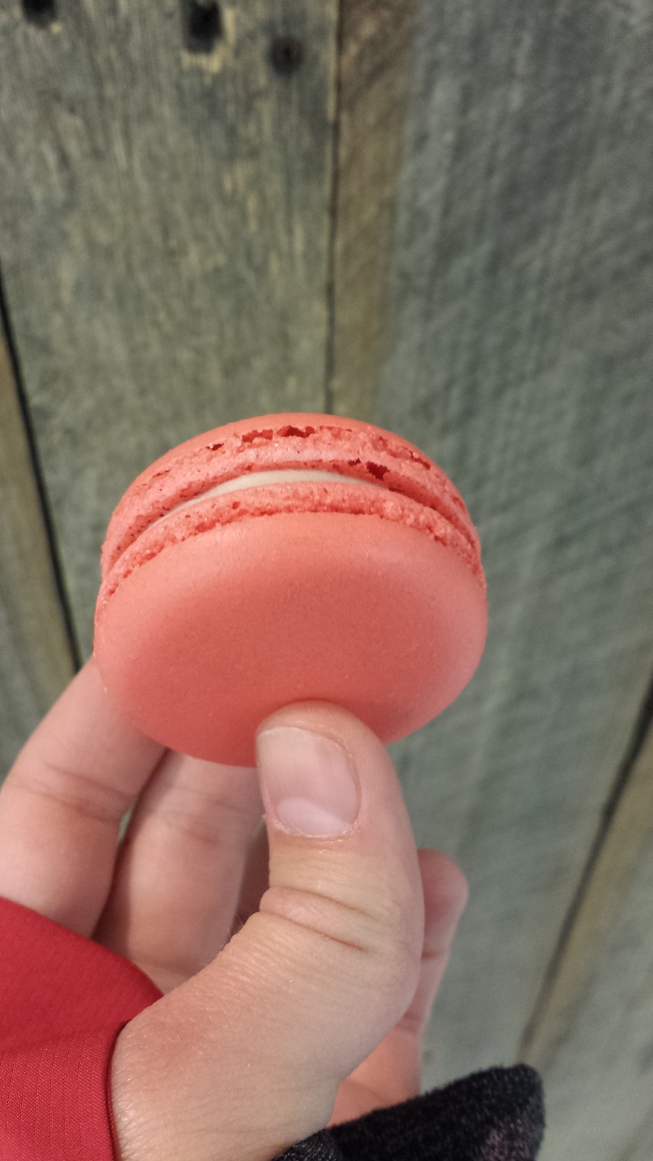 Macaroon at the Pier
