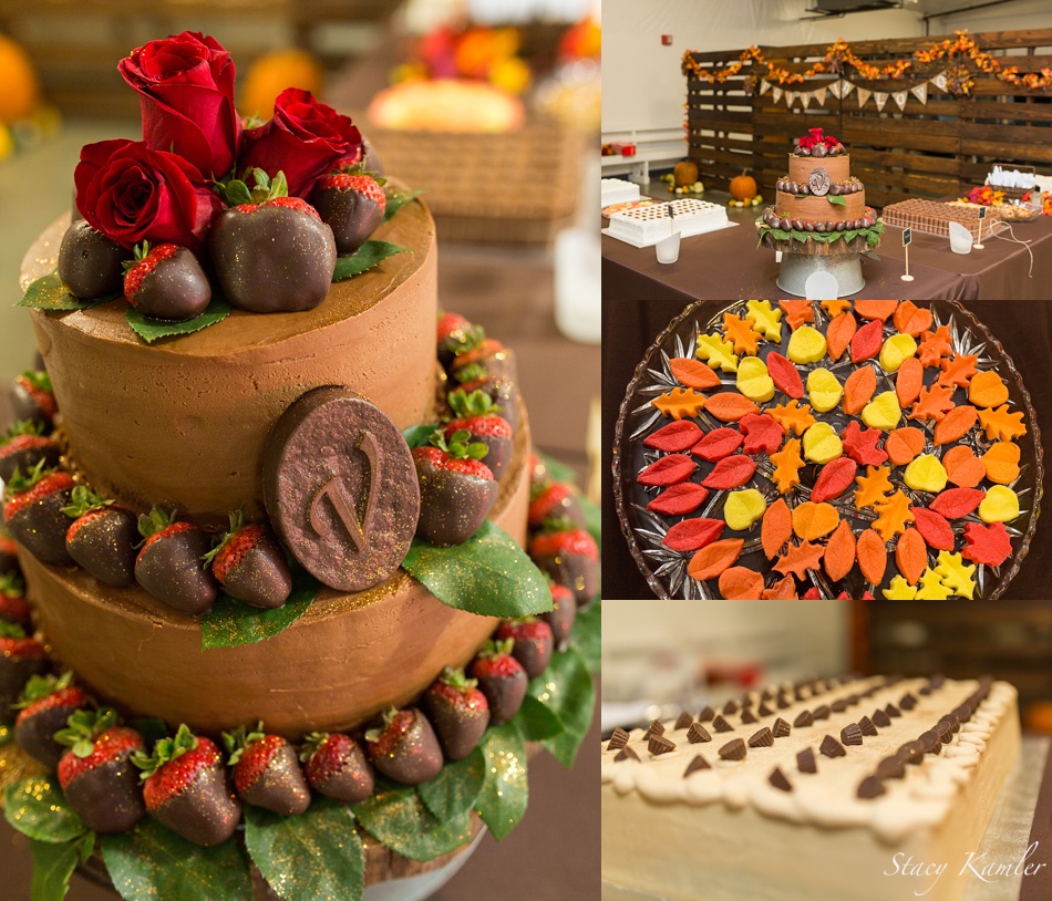 Fall Chocolate Cake at Wedding Reception in Geneva, NE
