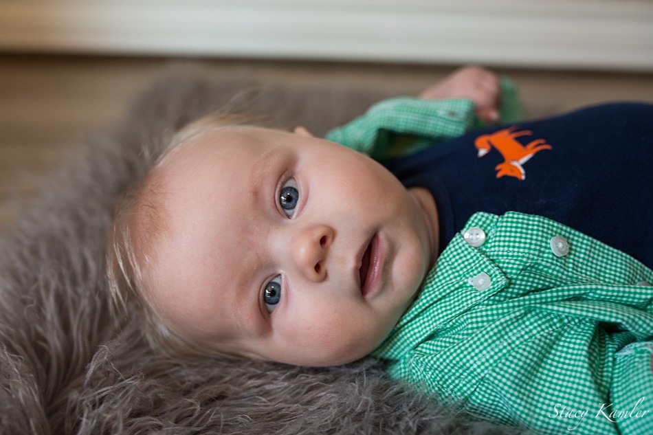 4 month old portraits