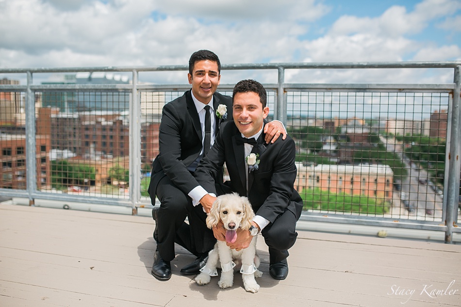 Rooftop wedding photos with puppy