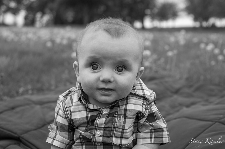 6 month old boy outdoor photos