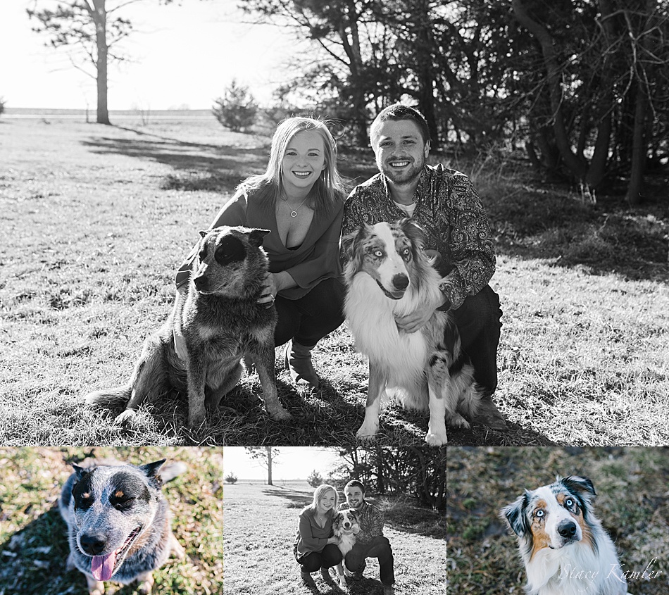 Engagement session with dogs