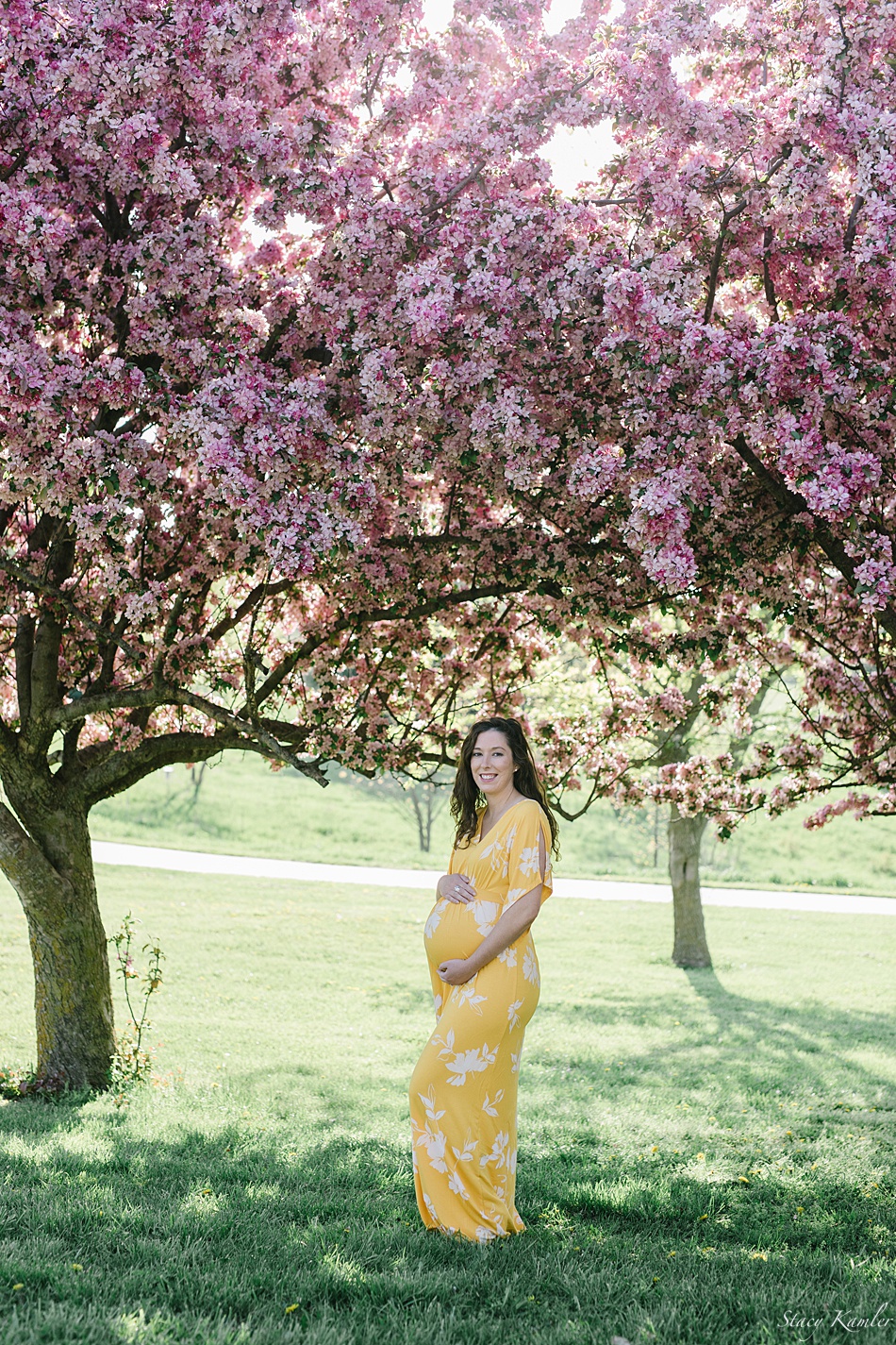 Maternity session under purple trees