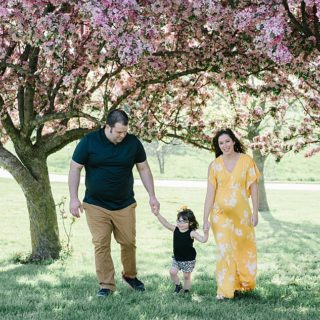 Family Maternity Session with two year old under purple trees
