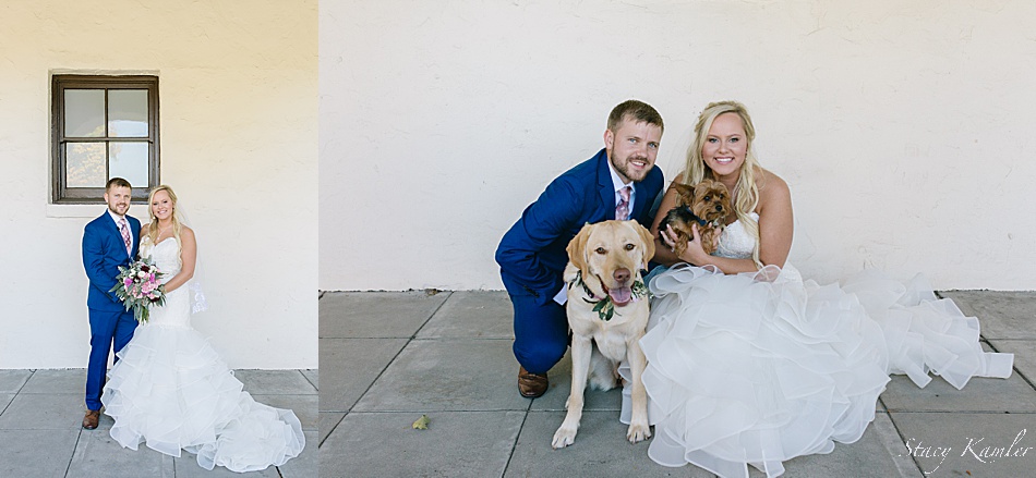Bride and Groom with their puppies